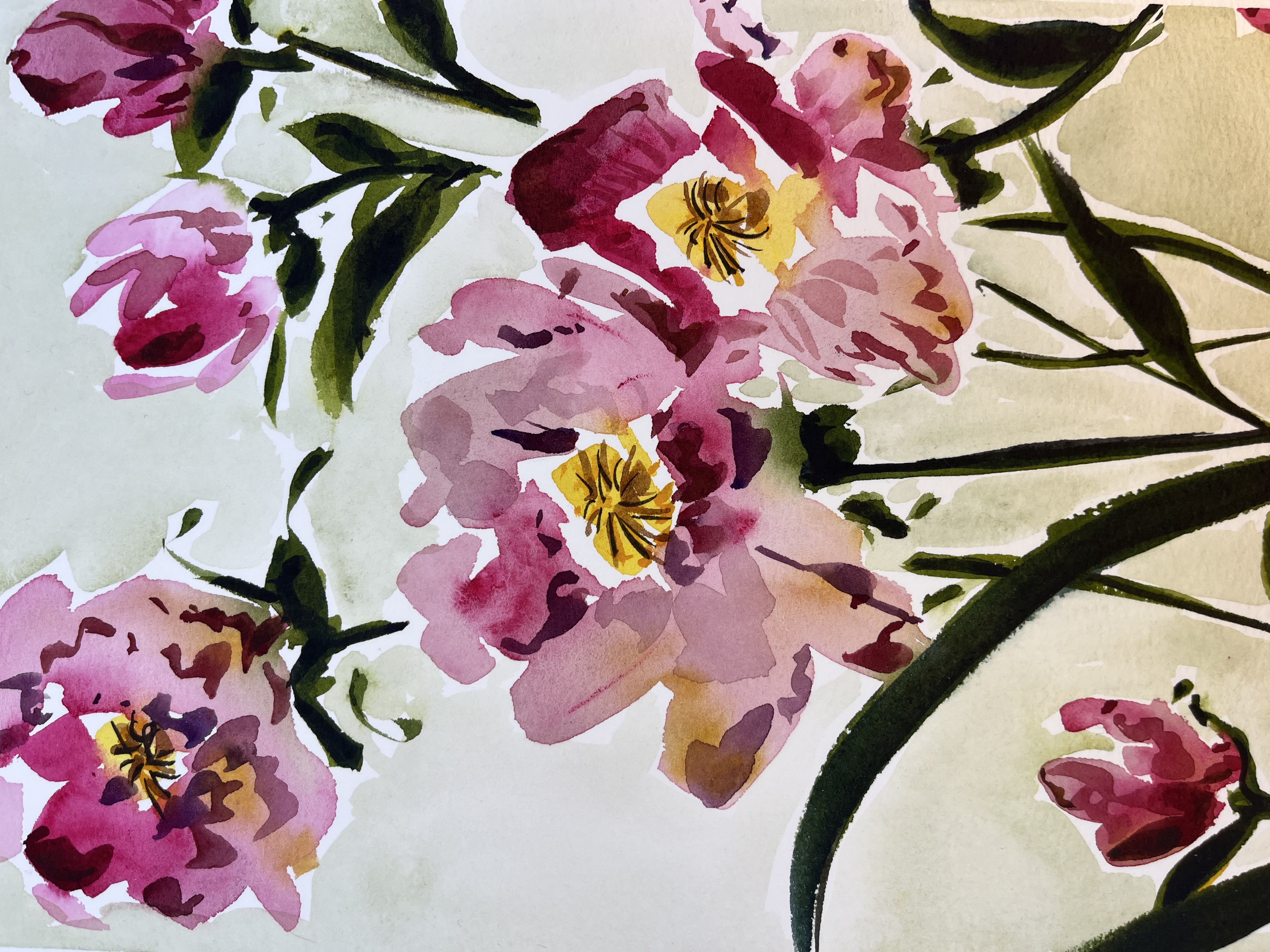 Watercolour painting of pink peonies by Maria